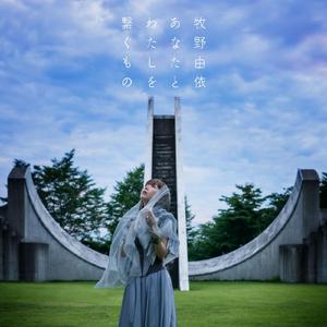 蓝莓破解版最新版本更新内容
